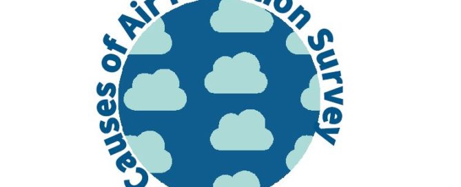 Causes of Local Air Pollution - Survey P25