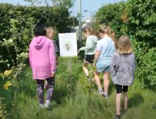 Carysfort NS